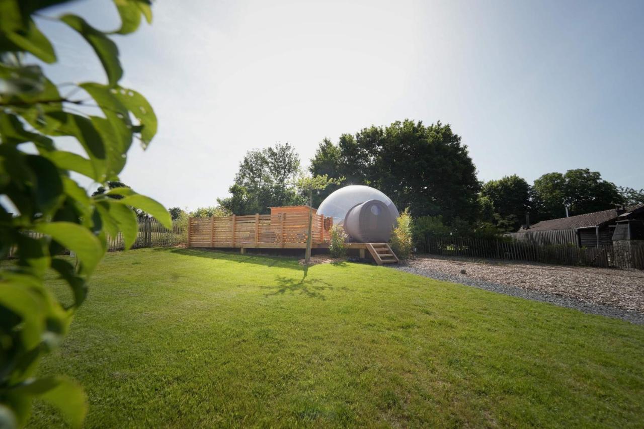 Bulles Odette & Ginette Et Tiny House Suzette "Au Guet Marais" Etape Insolite Paliseul Exterior foto