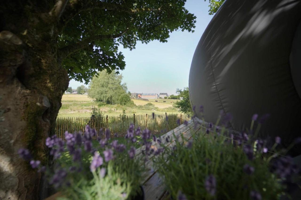 Bulles Odette & Ginette Et Tiny House Suzette "Au Guet Marais" Etape Insolite Paliseul Exterior foto